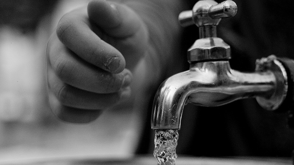 La aparición de las algas podría estar vinculada a la bajante del cauce del Río Paraná.