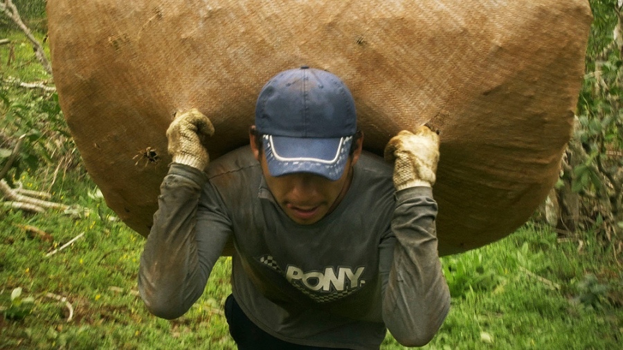 Los envases de medio kilo mantienen la preferencia de los consumidores Foto ArchivoTlam