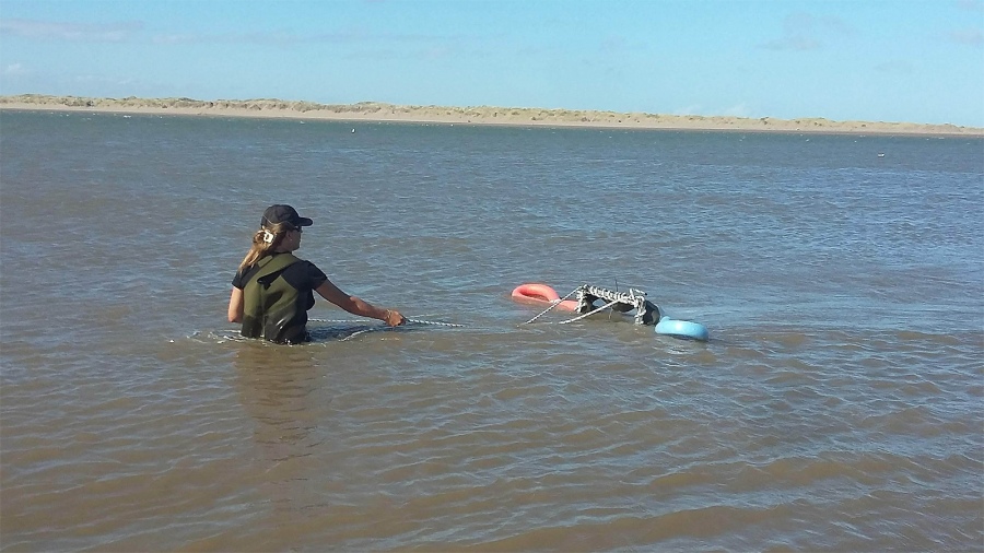 La contaminacin plstica marina no slo afecta al ambiente y la salud sino tambin a la economa mundial por su impacto en el turismo la pesca la acuicultura