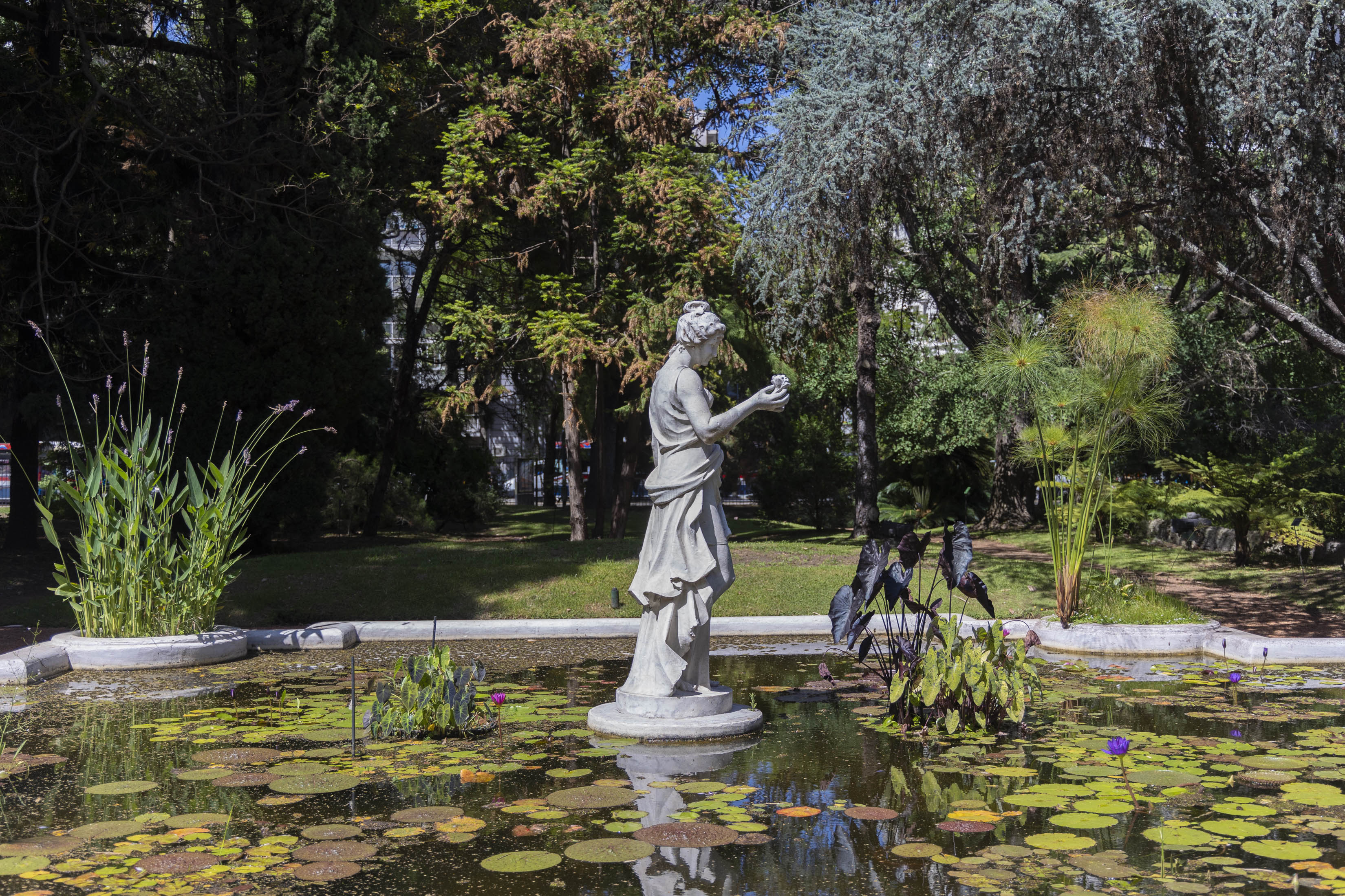 Jardín Botánico